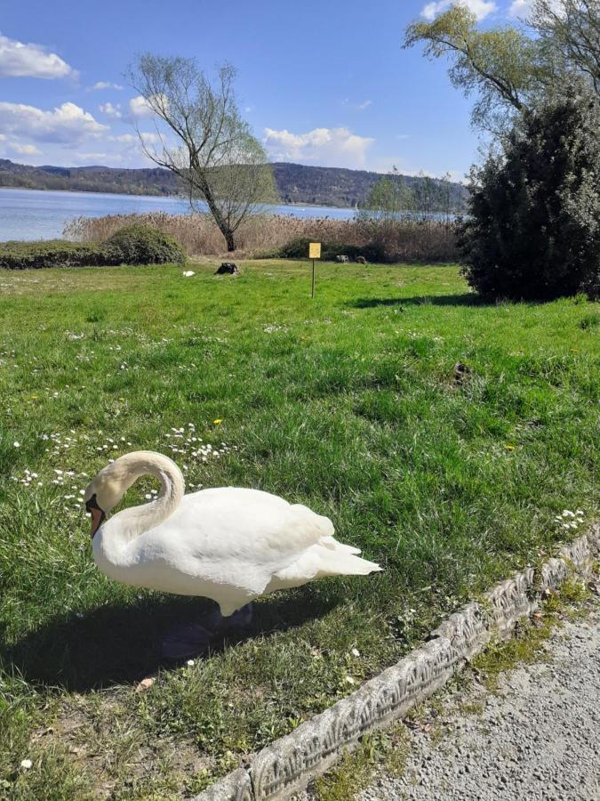 Room Country-Lake Dormelletto Dış mekan fotoğraf